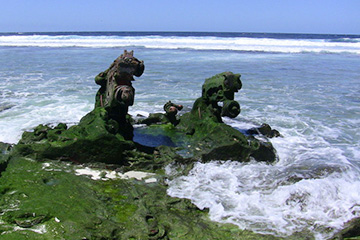 火奴鲁鲁港口查询_honolulu,hi港口代码_美属太平洋群岛火奴鲁鲁港口代码